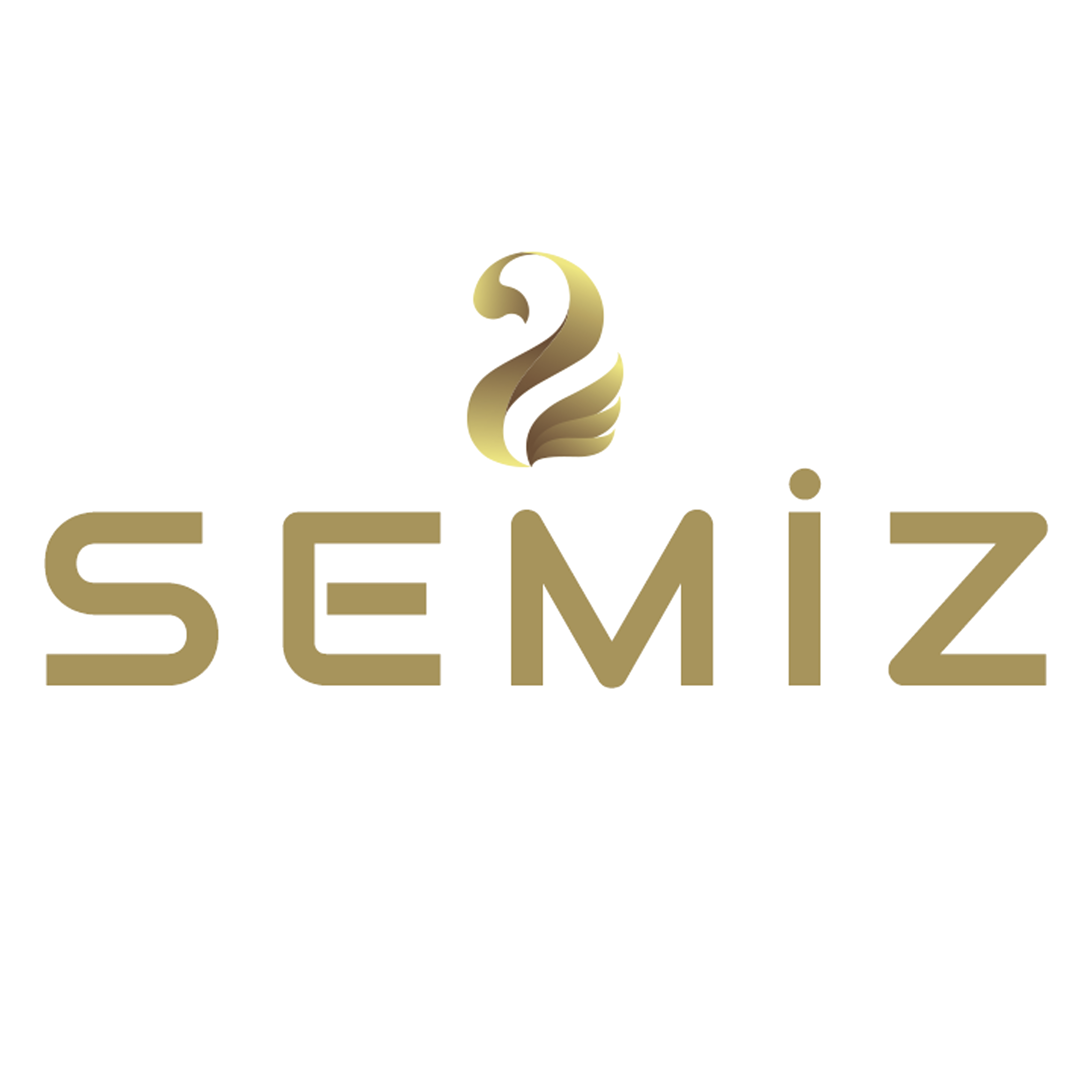 logo-semiz.png (492 KB)